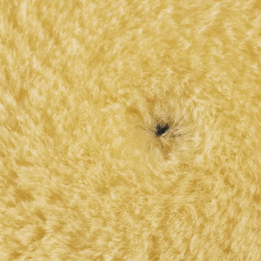 Boina de Lã Amarela Lustro 5" Rupes