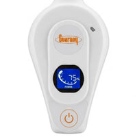 Pulverizador Portátil a Bateria com recarga USB 2l Guarany